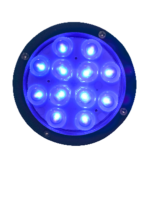LED蓝白光养殖灯