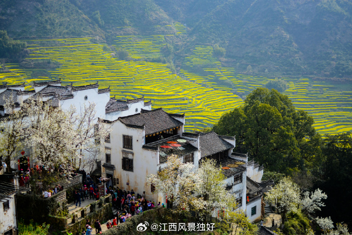 江西，文化、经济与发展多维视角的深入探讨