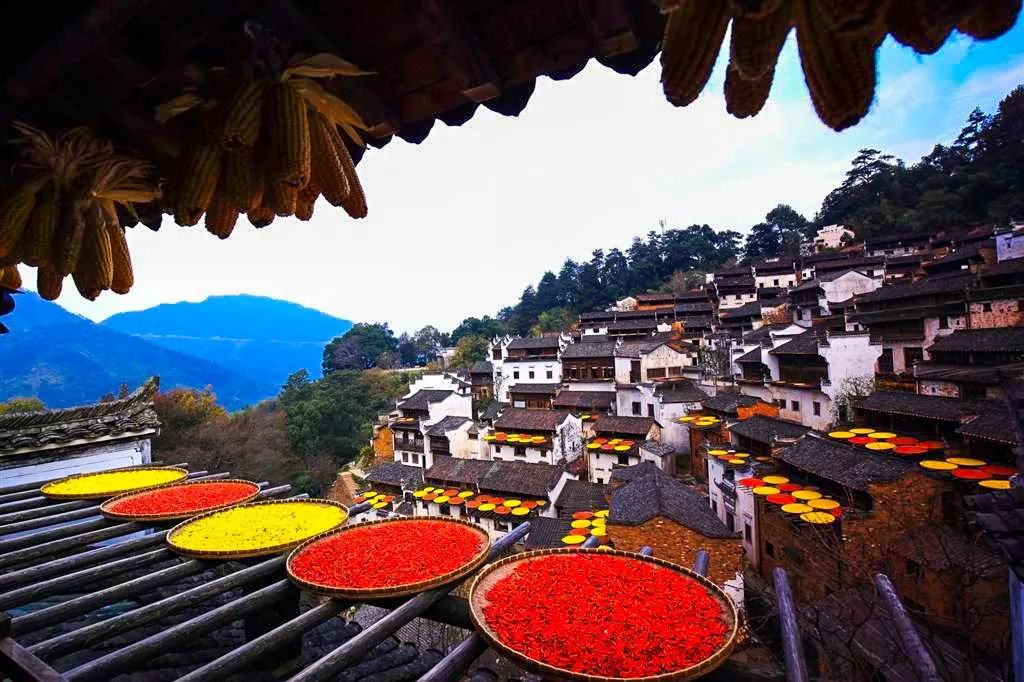 江西，致敬领导与同胞的深情呼唤