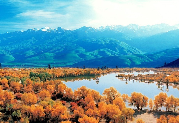 新疆美食探秘，小巷深处邂逅隐藏宝藏