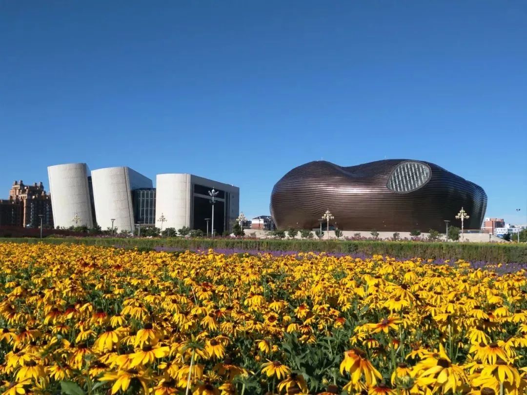 鄂尔多斯，科技重塑生活，未来触手可及